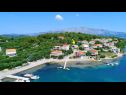 Appartamenti Sunny - 50 m from sea: A2(4) Lumbarda - Isola di Korcula  - la vegetazione (casa e dintorni)