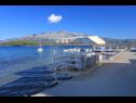 Appartamenti Krila - cozy and seaview : A1(2+2), A2(2+1), A3(4+1) Lumbarda - Isola di Korcula  - la spiaggia