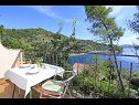 Casa vacanza Niso - with pool H(12+2) Baia Mikulina luka (Vela Luka) - Isola di Korcula  - Croazia - H(12+2): lo sguardo dalla terrazza