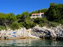 Appartamenti Desa - 10 m from the beach : A1-Mali(2), A2-Veliki(3) Prizba - Isola di Korcula  - la casa