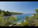 Casa vacanza Villa Bistrana - 15m from sea: H(4) Baia Tankaraca (Vela Luka) - Isola di Korcula  - Croazia - lo sguardo