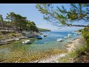 Casa vacanza Villa Bistrana - 15m from sea: H(4) Baia Tankaraca (Vela Luka) - Isola di Korcula  - Croazia - la spiaggia