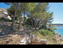 Appartamenti Nebo - big terrace with sea view A1 Dana(4) Baia Zubaca (Vela Luka) - Isola di Korcula  - Croazia - la casa