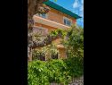 Appartamenti Giuseppe - green terrace: A1(4) Mali Losinj - Isola di Losinj  - la casa