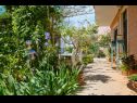 Appartamenti Giuseppe - green terrace: A1(4) Mali Losinj - Isola di Losinj  - il cortile