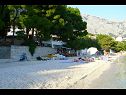Appartamenti Toni - 150m from pebble beach: A1 veliki (5) Baska Voda - Riviera Makarska  - la spiaggia