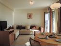 Appartamenti Smilja - 150 m from pebble beach: A1(2+2), A2(2+1), SA3(2) Baska Voda - Riviera Makarska  - Appartamento - A1(2+2): il soggiorno