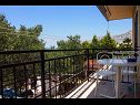 Appartamenti Miljko - 80 m from beach: A1(6), SA2(2), A10(4+1), A11(2+2) Brela - Riviera Makarska  - la terrazza