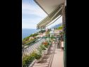 Appartamenti Ante - seaview A1(5), SA2(3), SA3(2+1) Brela - Riviera Makarska  - Studio appartamento - SA3(2+1): il balcone