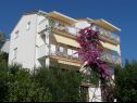 Appartamenti Kate - 20m from the beach: A1(2+2), A2(2+2) Brist - Riviera Makarska  - la casa