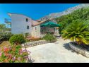 Appartamenti Horizont - 150 m from pebble beach: A1-Filip(4+2), A2-Mario(4+2) Brist - Riviera Makarska  - la casa