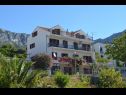 Appartamenti Jozo - 150 m from pebble beach: A1(2), A2(2), A3(2), A4(4), A5(4) Gradac - Riviera Makarska  - la casa