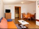 Appartamenti Biljana - 150m from beach: A1(2+1), A2(2+2), A3(5), A4(2+2) Gradac - Riviera Makarska  - Appartamento - A4(2+2): il soggiorno