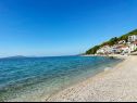 Appartamenti Mira - 10 m from beach: SA3(2), SA4(2), A5(2+2) Zaostrog - Riviera Makarska  - la spiaggia