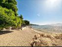Appartamenti Tomo - 10 m from beach: A1(2+2), SA2(2) Zaostrog - Riviera Makarska  - la spiaggia
