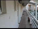 Appartamenti Boro - sea view SA1(3), SA2(3), SA3(3) Dugi Rat - Riviera Omis  - la terrazza