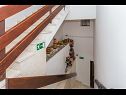 Appartamenti Verica - 15 m from beach: SA1(2), SA2(2), SA3(2) Krilo Jesenice - Riviera Omis  - il corridoio