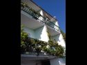 Appartamenti Zorica - with view: A1(4+1), SA2(2+1), SA3(2+1), SA4(2+1), A5(10+1) Marusici - Riviera Omis  - la casa