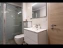 Casa vacanza Jurica-with heated pool: H(8) Nova Sela - Riviera Omis  - Croazia - H(8): il bagno con la toilette