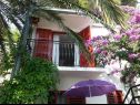 Appartamenti Nasta - 10 m from beach: A1(2+2), SA2(2), SA3(2) Omis - Riviera Omis  - Studio appartamento - SA3(2): il balcone (casa e dintorni)