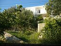 Appartamenti Mirela - with sea view, balcony: A1(4+1), SA2(2) Pisak - Riviera Omis  - il verde