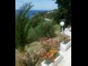 Appartamenti Đuro - panoramic sea view: A3(3+1), A5(5) Stanici - Riviera Omis  - lo sguardo sul mare (casa e dintorni)