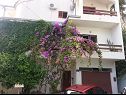Appartamenti Zvone - 50 M from the sea : A4 prizemlje (2+2) Sumpetar - Riviera Omis  - la casa