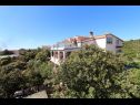 Appartamenti Mare-200 m from the beach A1(2+2), A2(4), A3(2) Mandre - Isola di Pag  - la casa