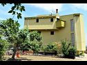 Appartamenti Anastazio -200m from sea: A1(6), A2(4), A3(4) Dobropoljana - Isola di Pasman  - la casa