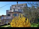 Appartamenti Maja - peaceful and quiet location A1(4+1), A2(2+2) Dobropoljana - Isola di Pasman  - 