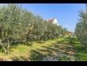 Appartamenti Rado - close to the sea: A5 Blu Sky(2+1), A4 Heinzov(5) Tkon - Isola di Pasman  - il giardino