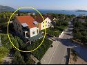 Appartamenti Ivo - 400 m from sea: SA1(2), SA2(2), A3(5+1), A4(2+1), A5(2+1), A6(3), A7(4+1), A8(4+1) Orebic - Peninsola di Peljesac  - la casa