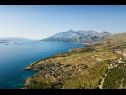 Casa vacanza Jak - sea view: H(4) Orebic - Peninsola di Peljesac  - Croazia - la vegetazione
