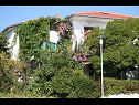 Appartamenti Petar - 6m from the sea: A1(4), A3(2) Barbat - Isola di Rab  - la casa