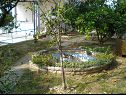 Appartamenti Ren - 150 m from beach: A3(2+1) Kampor - Isola di Rab  - il cortile