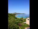 Appartamenti Delfin - sea view: A3(2+2), A4(2+2) Sepurine (Isola di Prvic) - Riviera Sibenik  - lo sguardo