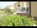 Appartamenti Deep Blue A1 PR(6+1), A2 KAT(6+1), A3(4+1) Srima - Riviera Sibenik  - il giardino