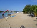 Appartamenti Mio - 100 m from beach: A1(6+1), A2(4+1) Stupin Celine (Rogoznica) - Riviera Sibenik  - la spiaggia