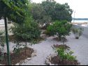 Appartamenti Mira - 20 m from pebble beach: A1(4+1), A2(4) Zaboric - Riviera Sibenik  - il giardino