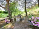 Casa vacanza Brane - relaxing in nature: H(9) Zaton (Sibenik) - Riviera Sibenik  - Croazia - il giardino