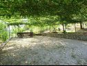 Casa vacanza Brane - relaxing in nature: H(9) Zaton (Sibenik) - Riviera Sibenik  - Croazia - 