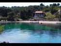 Appartamenti Primo - sea view: A1(2+1), A2(4), A3(4), A4(3+1) Baia Banje (Rogac) - Isola di Solta  - Croazia - la spiaggia