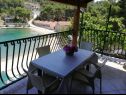 Appartamenti Primo - sea view: A1(2+1), A2(4), A3(4), A4(3+1) Baia Banje (Rogac) - Isola di Solta  - Croazia - Appartamento - A3(4): lo sguardo dalla terrazza