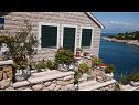 Appartamenti Nikola - in front of the sea: A1(4) Baia Donja Krusica (Donje selo) - Isola di Solta  - Croazia - il dettaglio (casa e dintorni)