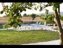 Casa vacanza Villa Solis - luxury with pool: H(6) Dicmo - Riviera Split  - Croazia - il cortile