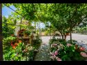 Appartamenti Milica - parking and garden: A1(6), SA2 gornji(2), SA3 donji(2), A4(2+1) Kastel Luksic - Riviera Split  - la vegetazione