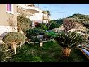 Appartamenti e camere Anka - with open jacuzzi: SA4(2), SA2(2), R1(2), R3(2), R5(2) Podstrana - Riviera Split  - il giardino
