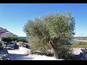 Casa vacanza Željko - sea view H(4+2) Drvenik Mali (Isola di Drvenik Mali) - Riviera Trogir  - Croazia - il dettaglio (casa e dintorni)