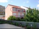 Appartamenti Anđelka - 50 m from beach: A3(9), A4(4), A5(2) Marina - Riviera Trogir  - Appartamento - A5(2): apartamento