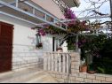 Appartamenti Vesna - 40 m from pebble beach: A1(4+1), A2(4), A3(4+1) Seget Vranjica - Riviera Trogir  - il cortile